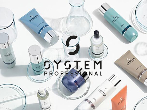 システムプロフェッショナル